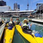 Auckland: City Scenes Kayak Tour - Why the Auckland City Scenes Kayak Tour Works Well