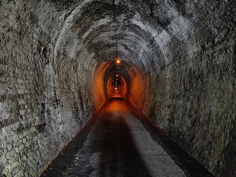 Auckland: Karangahake Gorge & Waihi Gold Explorer Tour - The Itinerary in Detail