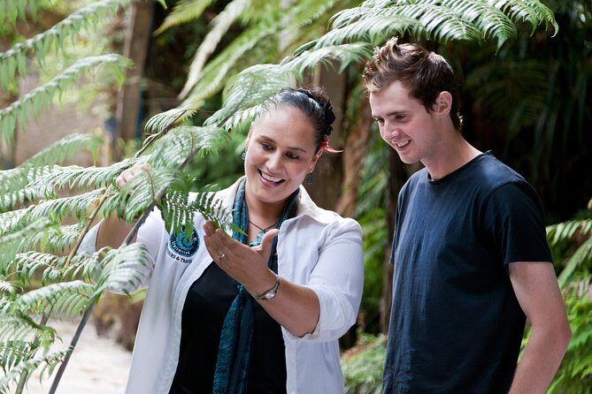 Auckland Maori Tour - Transportation and Duration