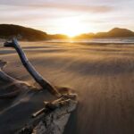 Auckland: Mt. Eden, Piha Beach & Karekare Private Tour - Final Thoughts