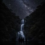 Auckland: Piha Native Bat Discovery Walking Tour - What to Expect During the Tour