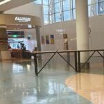 Auckland Private Airport Transfer to/from City Hotels-SUV/Minivan - Who Is This Transfer Best For?