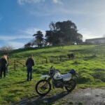 Auckland: Private Sheep & Beef Working Farm Tour - Exploring the Itinerary in Detail