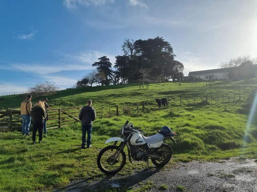 Auckland: Private Sheep & Beef Working Farm Tour - Exploring the Itinerary in Detail