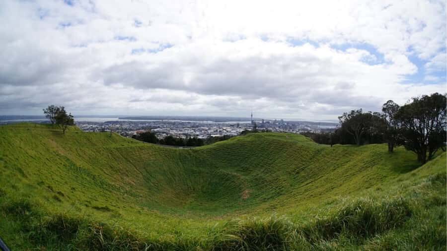 Auckland: Private Sightseeing Full or Half Day Guided Tour - An In-Depth Look at the Tour Itinerary