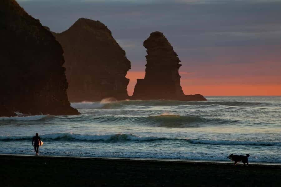 Auckland Private Tour: West Coast Wilderness & Piha Beach - Transportation and Practicalities