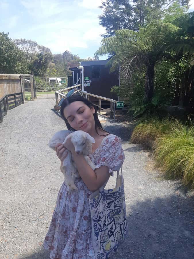 Auckland: Sheepworld, Honey Centre, & Kauri Trail Tour - A Detailed Look at the Auckland: Sheepworld, Honey Centre, & Kauri Trail Tour