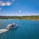 Auckland: Tiritiri Matangi Island Ferry - Detailed Itinerary Breakdown: What to Expect