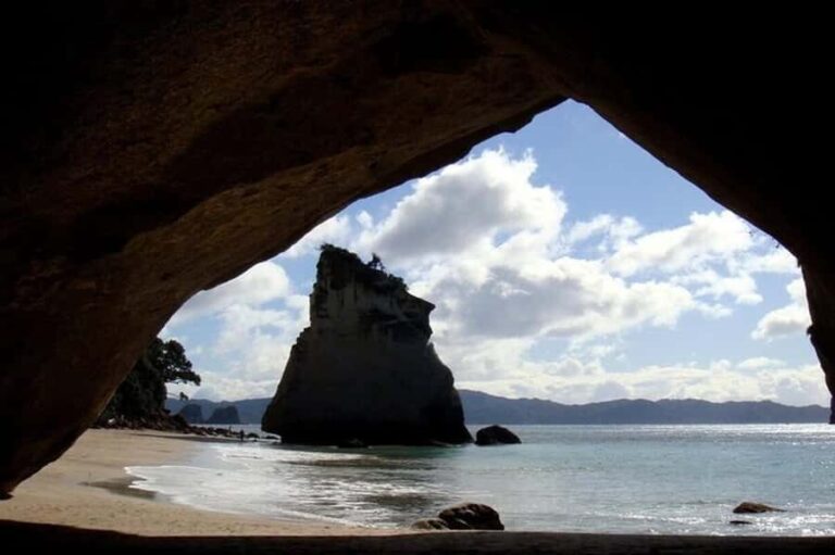 Auckland to Coromandel: Private Coastal Escape - What to Expect on the Day