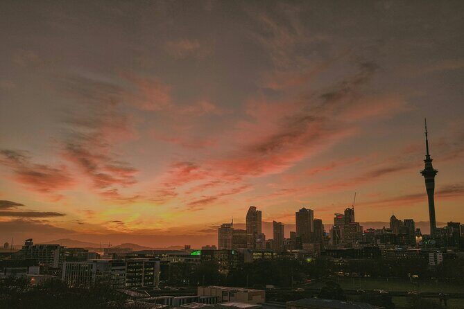 Auckland Urban Charm Half Day Tour - Cornwall Park