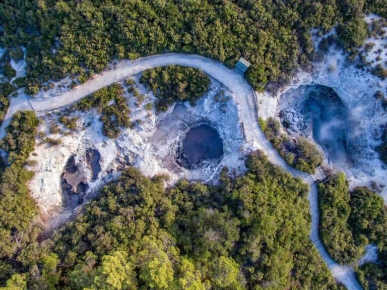 Auckland: Wai-O-Tapu & Wai Ariki Hot Springs Day Tour - What Makes This Tour Stand Out?