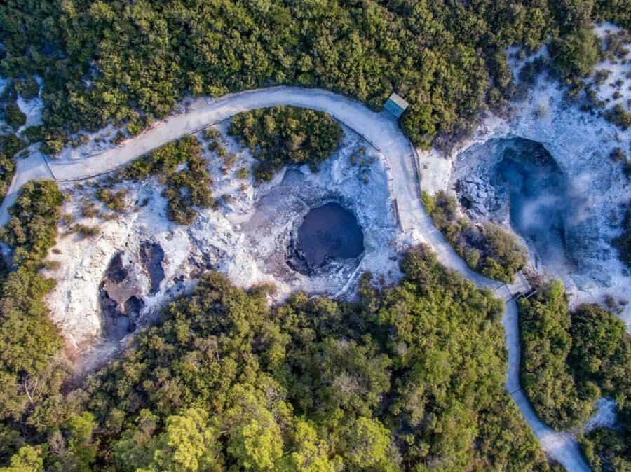 Auckland: Wai-O-Tapu & Wai Ariki Hot Springs Day Tour - What Makes This Tour Stand Out?