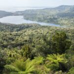 Auckland West Coast Half-Day Private Tour - Who Would Love This Tour?