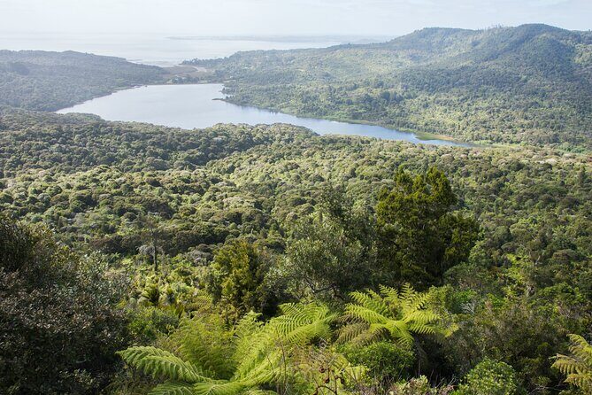 Auckland West Coast Half-Day Private Tour - Who Would Love This Tour?