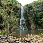 Auckland West Coast Rainforest and Beach Tour - Transportation and Comfort