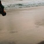 Australia: Coffs Harbour Beach Horse Ride & Lagoon Swim + Photos - An In-Depth Look at the Beach Horse Ride Experience