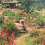 Authentic Chiang Mai Lifestyle Guided Tour - Authentic Insights from Reviews