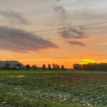 Authentic Siem Reap: Tuk Tuk Countryside and Sunset Tour - Practical Details and Value Analysis