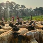 Authentic Vietnam Farming Full Day Small Group Tour - The Logistics: What You Need to Know