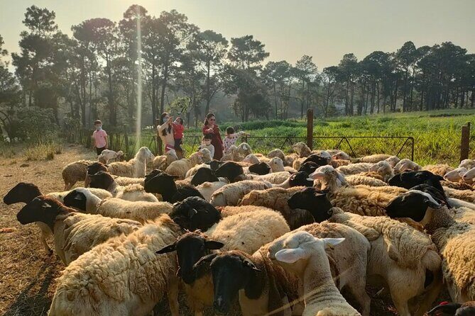 Authentic Vietnam Farming Full Day Small Group Tour - The Logistics: What You Need to Know