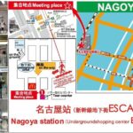 Autumn leaves illuminations at Korankei , winter cherry blossoms - Final Thoughts