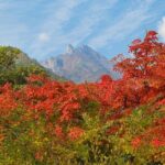 [Autumn] Mt. Seorak & Flower Festival - What’s Included and What’s Not