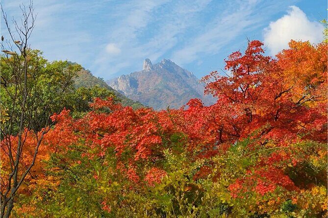 [Autumn] Mt. Seorak & Flower Festival - What’s Included and What’s Not
