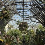 Awaji Island: Awaji Coast Whirlpool Day Trip from Osaka - The Itinerary in Detail