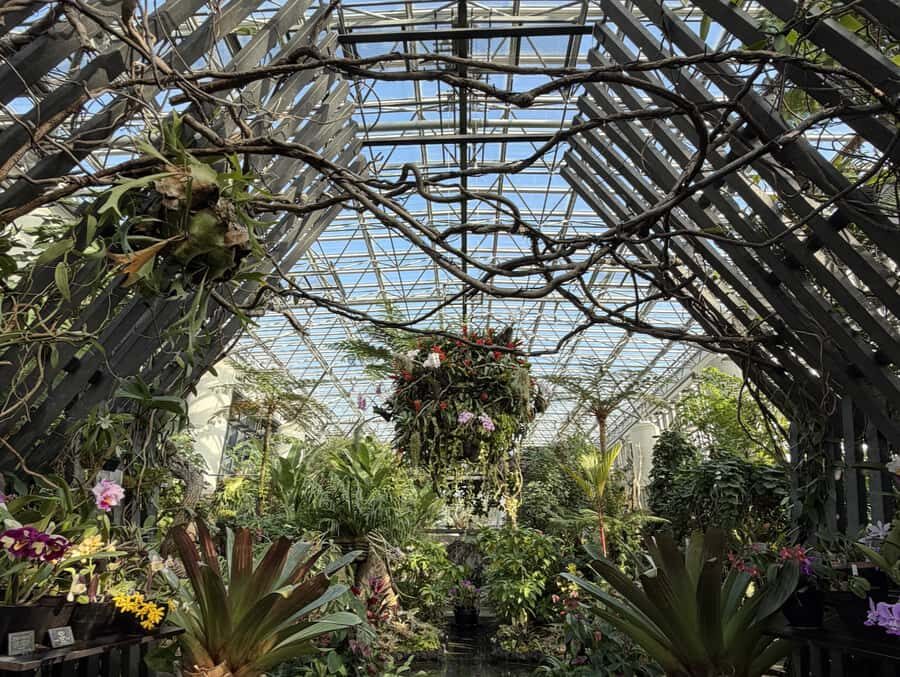 Awaji Island: Awaji Coast Whirlpool Day Trip from Osaka - The Itinerary in Detail