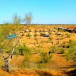 Aydarkul and Nurata Tour (1 Night 2 Days) - Transport, Duration, and Practicalities