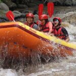 Ayung River Rafting in Ubud including Buffet Lunch - Authentic Insights from Reviews