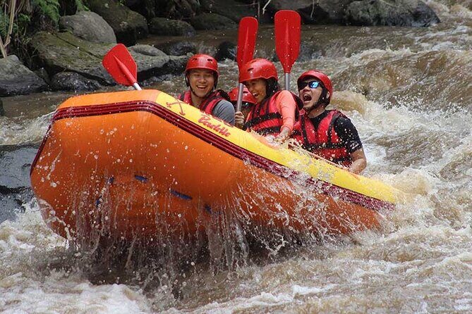 Ayung River Rafting in Ubud including Buffet Lunch - Authentic Insights from Reviews