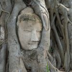 Ayutthaya Heritage Day Tour with Boats & Tuk-Tuks experience - What Makes This Tour Worthwhile?