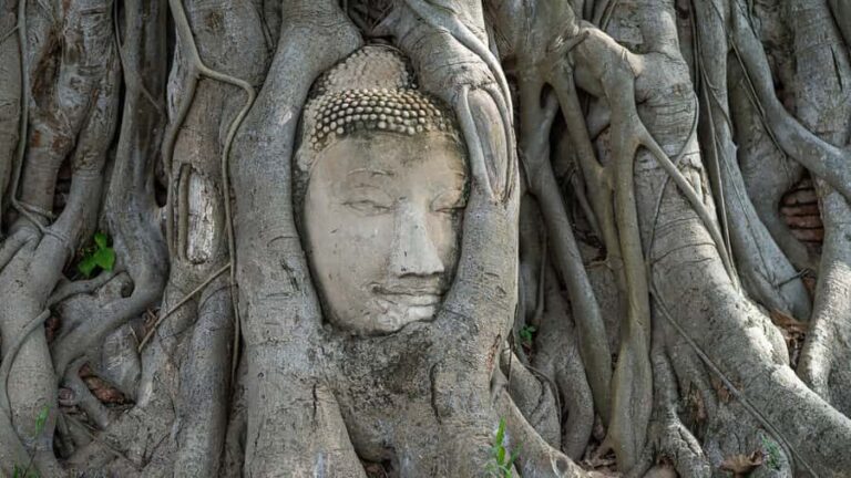 Ayutthaya Heritage Day Tour with Boats & Tuk-Tuks experience - What Makes This Tour Worthwhile?