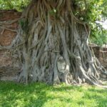 Ayutthaya Private Tour with Sunset Boat Ride - Bangkok - Real Experiences and Honest Insights