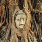 Ayutthaya Tour from Bangkok with Grand Pearl River Cruise - Analyzing the Price and Overall Value