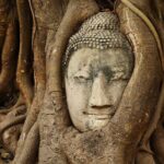 Ayutthayas Heritage Revealed A Day Private Tour from Bangkok - Practical Details and Value