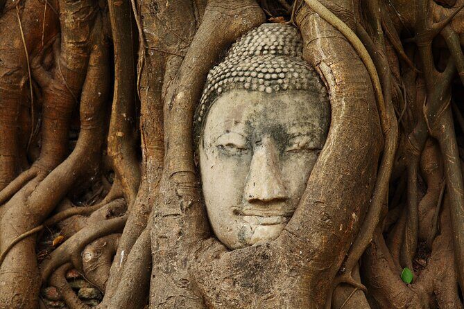 Ayutthayas Heritage Revealed A Day Private Tour from Bangkok - Practical Details and Value