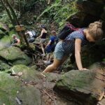 Bach Ma National Park Daily Trekking From Da Nang - What’s Included and What’s Not?