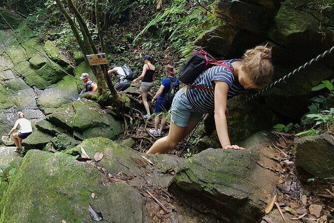 Bach Ma National Park Daily Trekking From Da Nang - What’s Included and What’s Not?