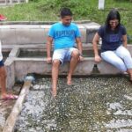 Back to Nature Tour - Templer's Park, Hot Spring & Batu Caves - The Itinerary Breakdown