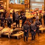 Backstage Pass to Sapporo Central Market - Practical Details and Value