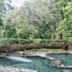 Bacolod: Mambukal Trip - Practical Details and Tips