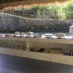 Bali: 7 Day Solo Travelers Yoga Retreat In Ubud - Practical Details and Value