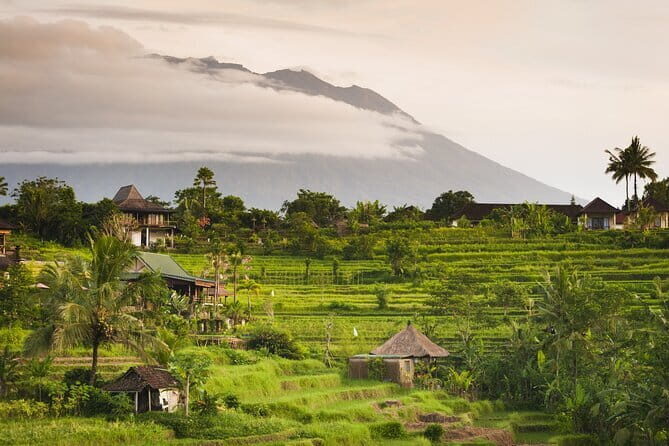 Bali a Hidden Gems Tirta Gangga Taman Ujung and Cepung Waterfall - What Travelers Say