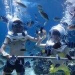 Bali Activity: Bali Sea Walking in Nusa Dua Ocean - The Itinerary: What to Expect