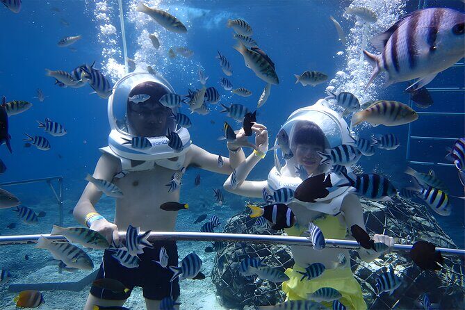 Bali Activity: Bali Sea Walking in Nusa Dua Ocean - The Itinerary: What to Expect