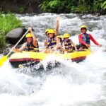 Bali Activity: Telaga Waja White Water River Rafting - What Makes Telaga Waja Rafting Stand Out?