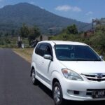 Bali Airport to Hotel-Private Arrival Transfer - Who Is This Transfer Best For?
