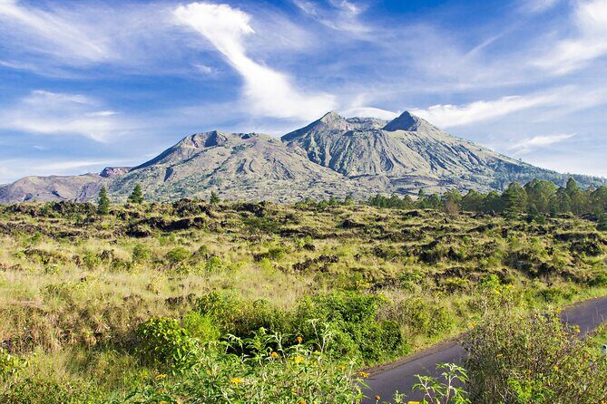 Bali: All Inclusive in Kintamani Private Tour - The Experience from Travelers’ Perspectives